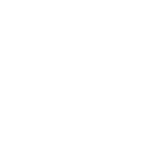 Western Didital